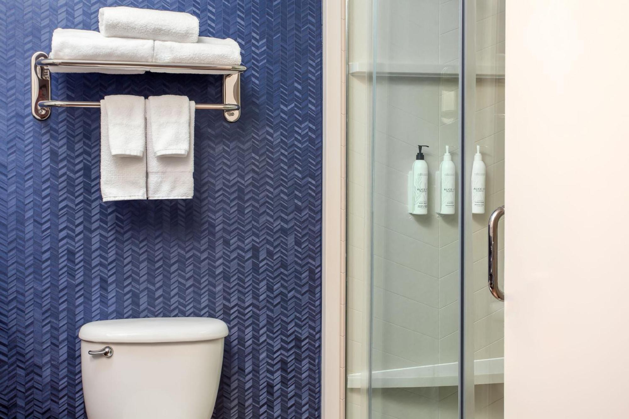 King Room with Transfer Shower and Roll-In Shower - Mobility Access/Hearing Accessible