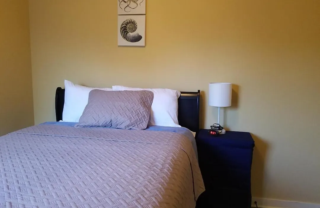 Spacious 3 Bedroom Gem With Lighted Patio-1