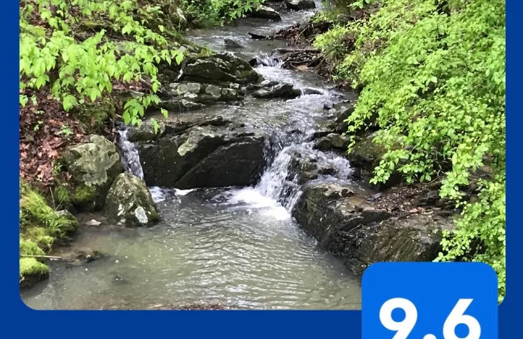 Secluded Home With Mini Waterfall And A Creek In Hot Springs-1