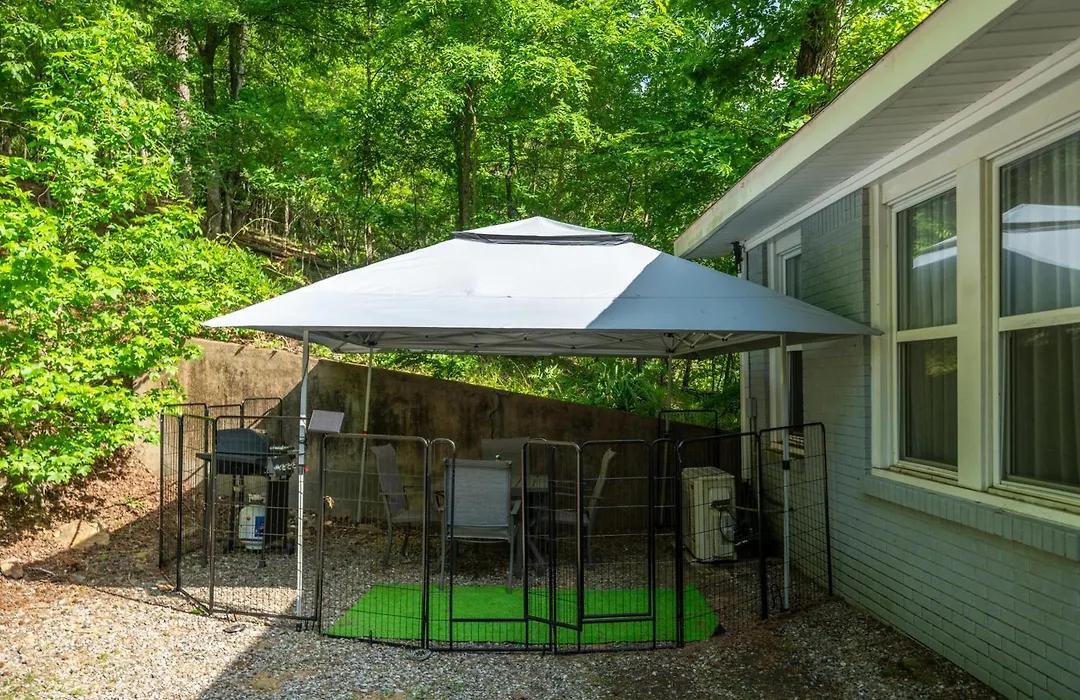Spring Bungalow - A Cozy Getaway In Downtown Hot Springs!-1