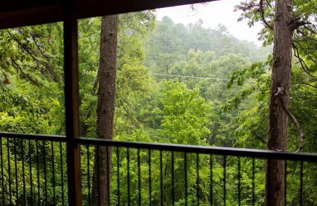 The Razorback Lodge-1