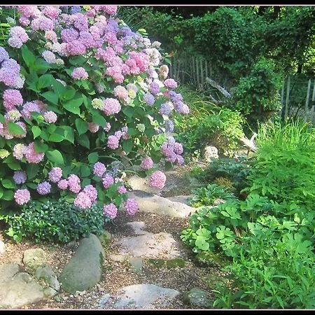 11 Singleton House B&B-2