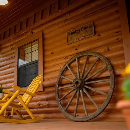 Family Friendly, Work Remotely, Spacious Log Cabin-3