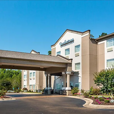Comfort Inn Camden-3
