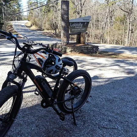 Loblolly Pines Adventure Cabin 2 King-3