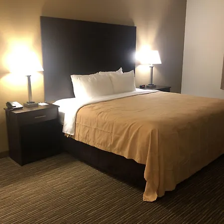 Quality Inn & Suites Paragould-2