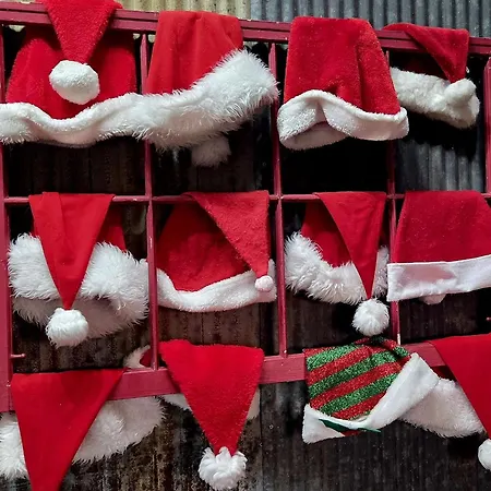 Rural Life On A Real Christmas Tree Farm! Hallmark Experience!-3