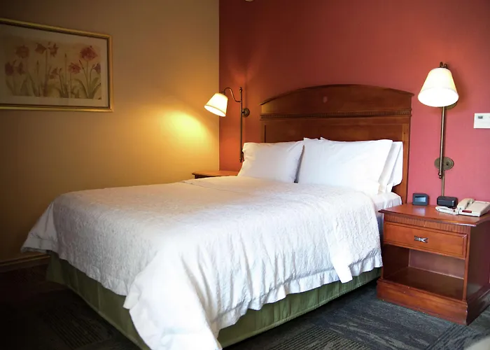 Mountain Home Dog Friendly Lodging and Hotels